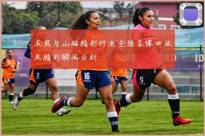 灰熊与山猫精彩对决全场录像回放及精彩瞬间分析
