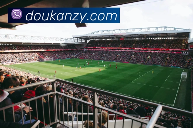 泛亚电竞平台生态图